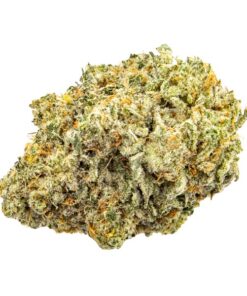 Caked Cactus | Kootenay Quad AAAA+ 28G