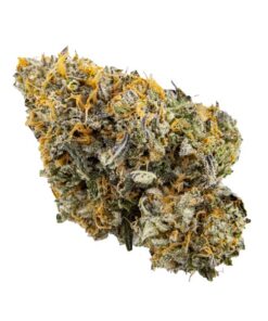 Sunset Sherbert | Kootenay Quad AAAA+ 28G